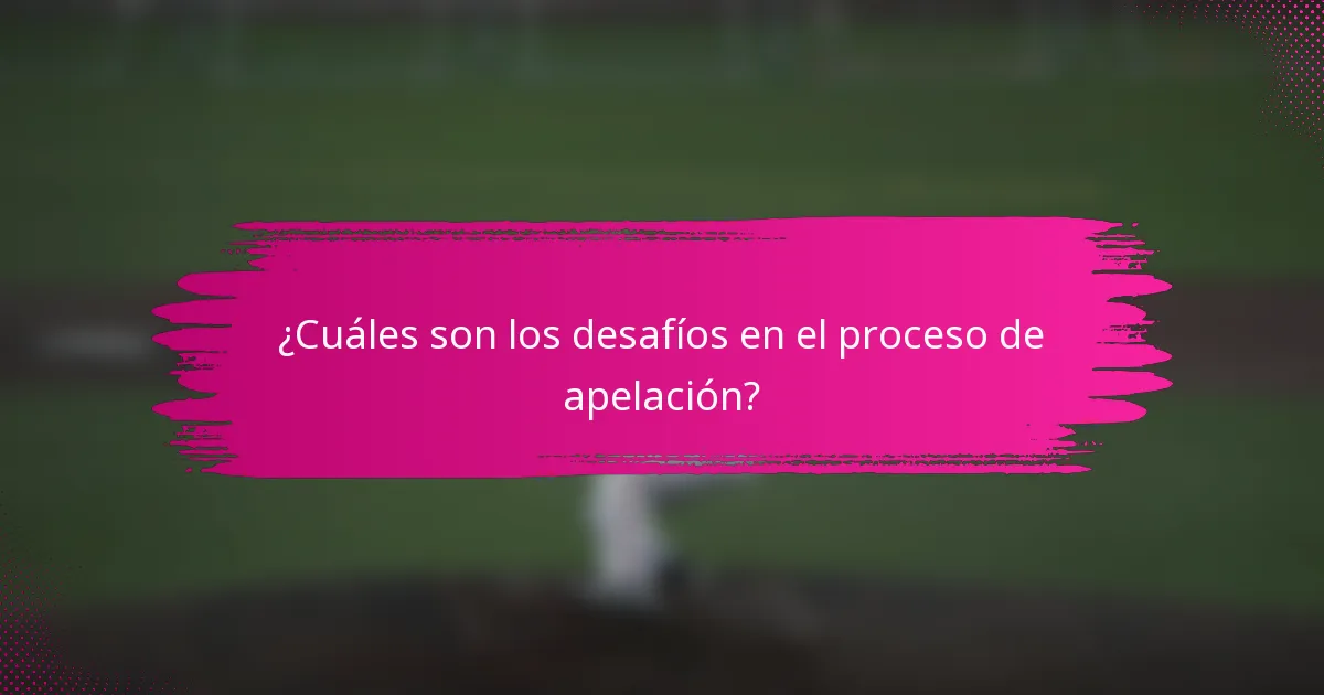 ¿Cuáles son los desafíos en el proceso de apelación?