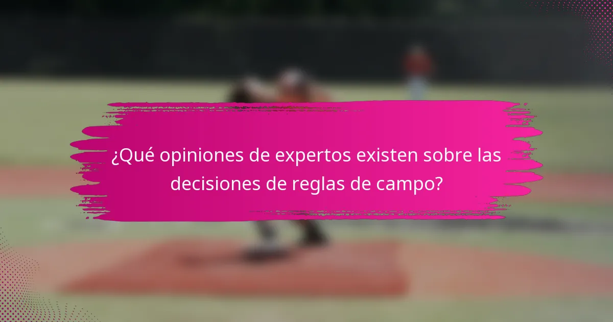 ¿Qué opiniones de expertos existen sobre las decisiones de reglas de campo?